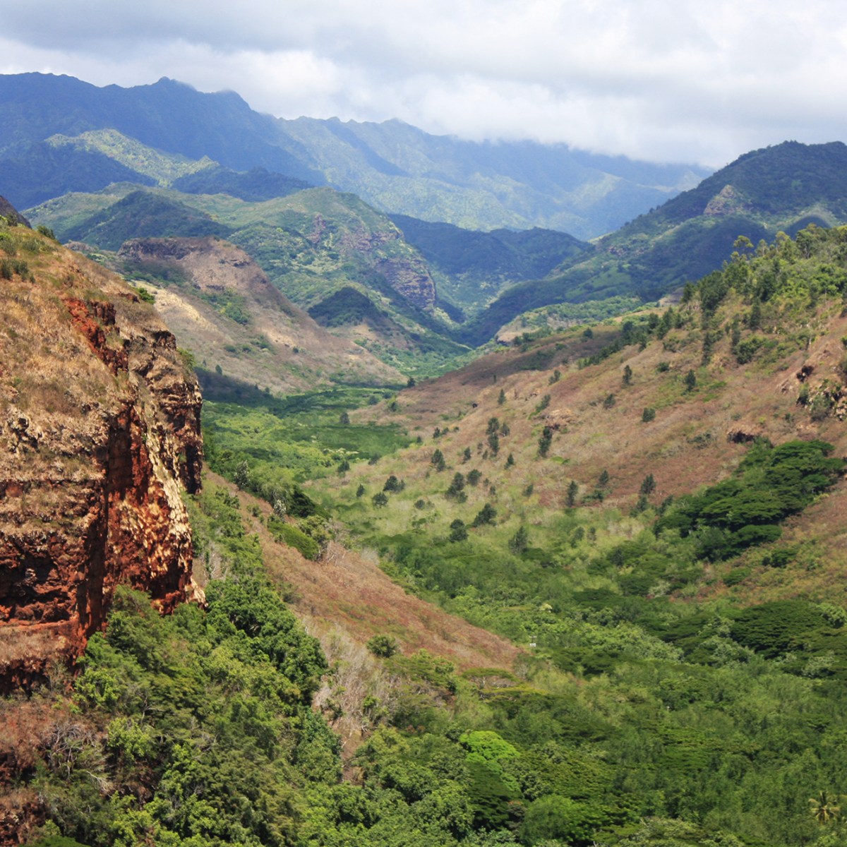a canyon with a mountain in the background
