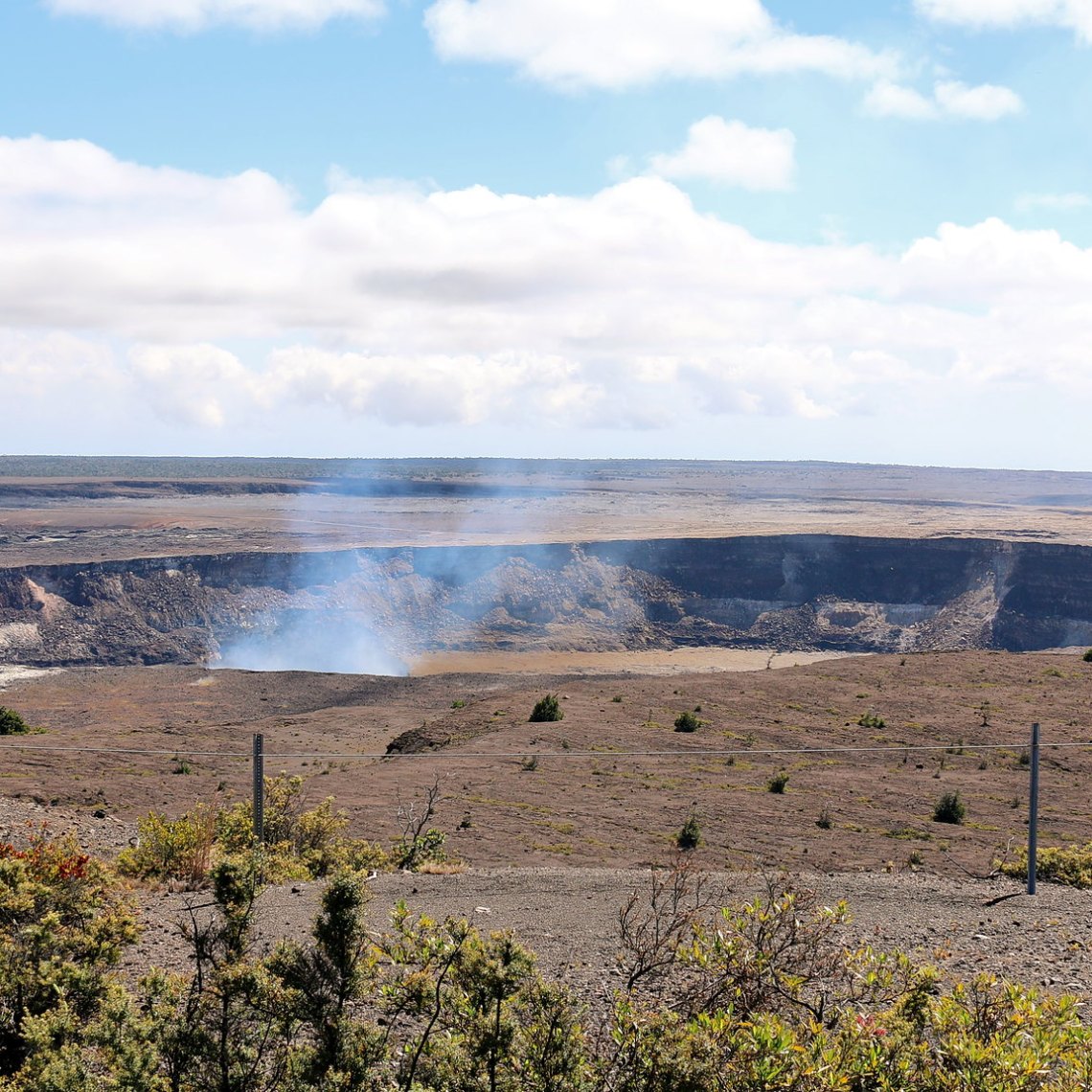 a close up of a desert field with a mountain in the background