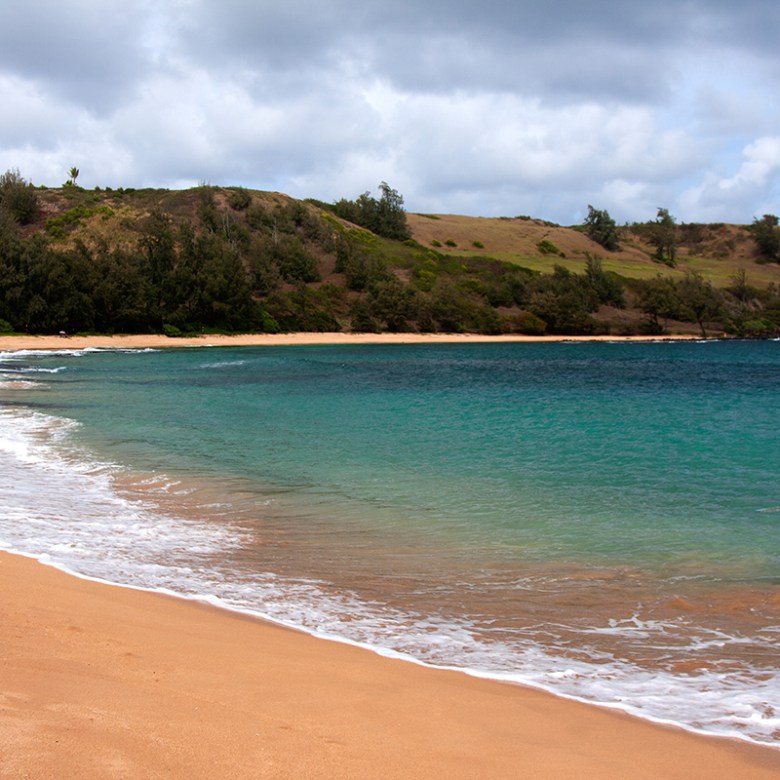 a sandy beach next to a body of water