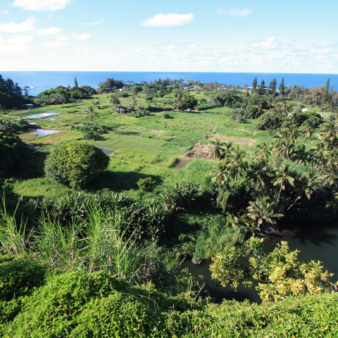 a large green landscape with a body of water