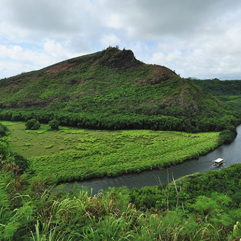 a river with a lush green hillside