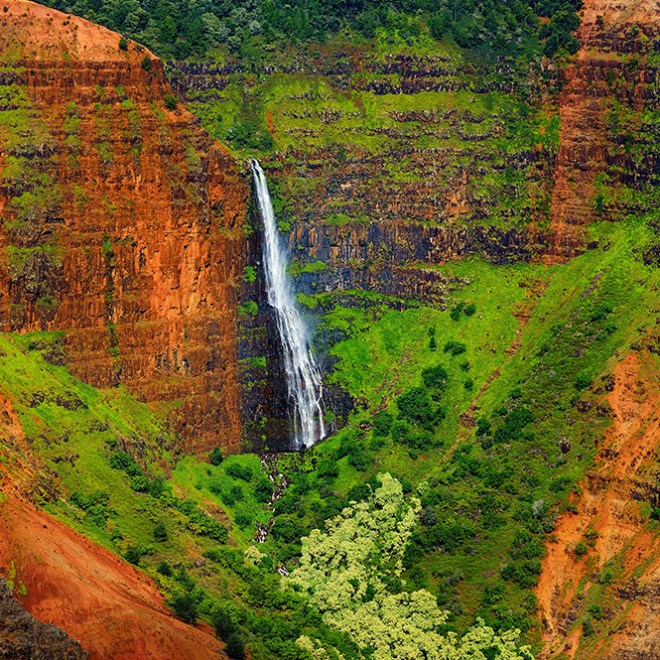 a canyon with a waterfall in a forest
