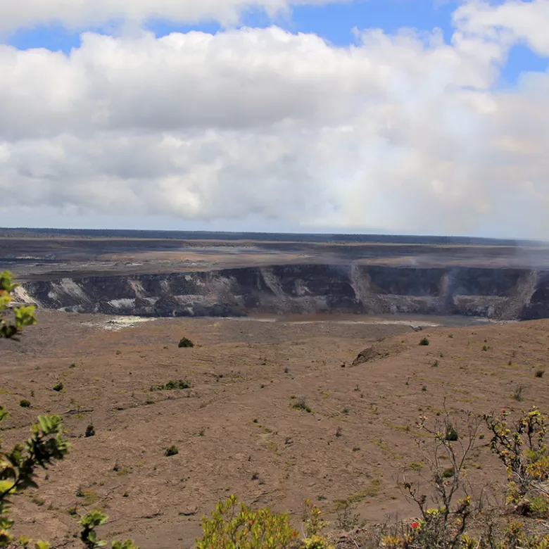 a close up of a dry grass field
