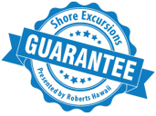 shorex-guaranteed-blue-resize a close up of a logo