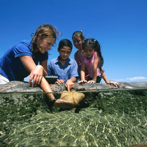 a young man sitting at a beach
