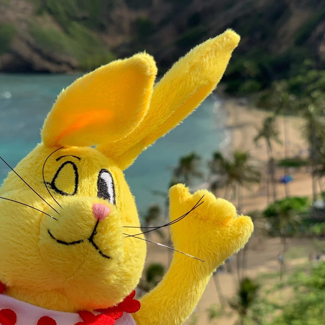 a group of stuffed animals