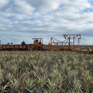 a large machine in a field