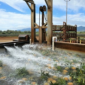 a bridge over a body of water