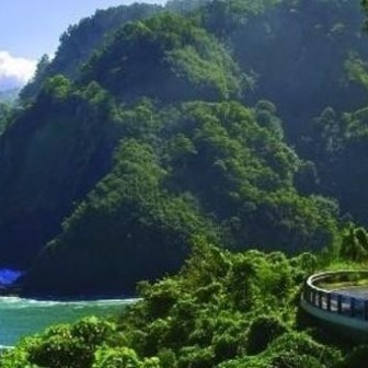 a large body of water surrounded by trees