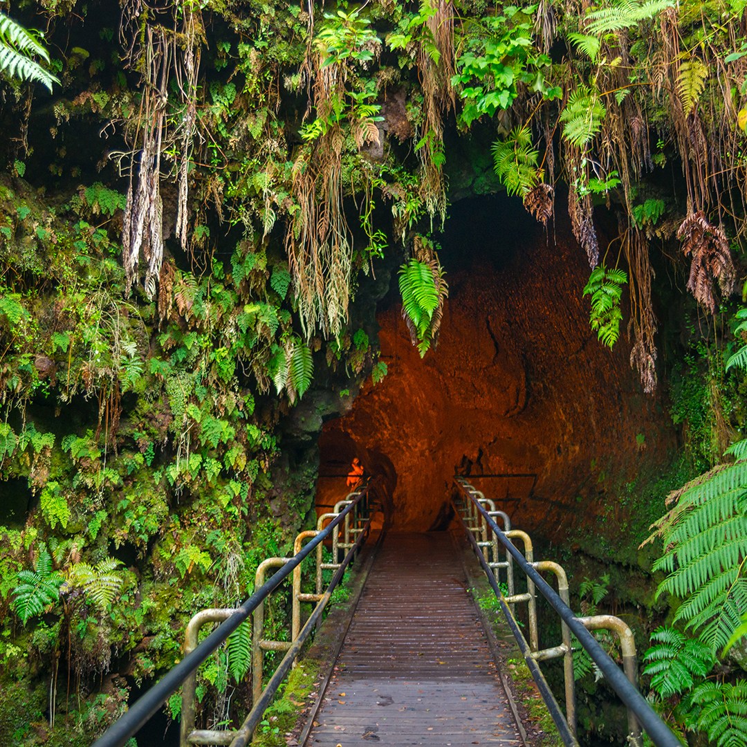 Thurston Lava Tube