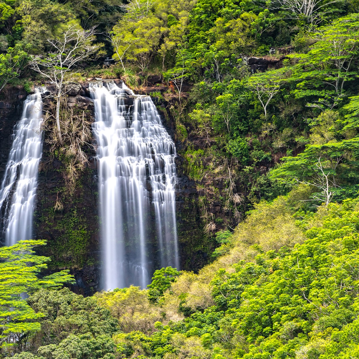 Opaeka'a Falls