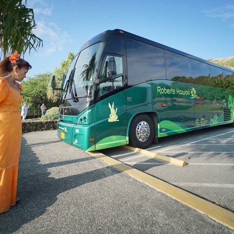 Woman in orange dress stands near green tour bus in a parking lot.