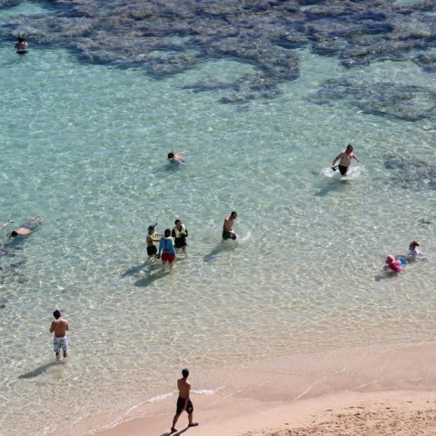 People swimming and standing in clear water near a sandy beach.
