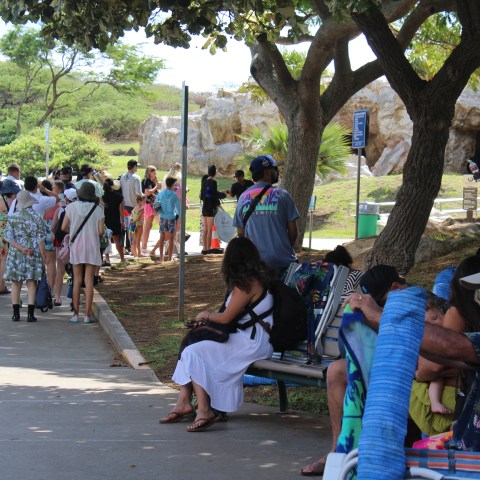 People sitting and standing in a park, some under trees, with a walkway and vehicle visible.
