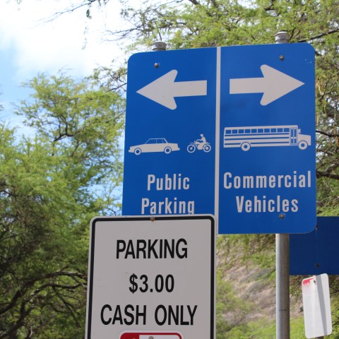Signs directing public and commercial parking amid trees.