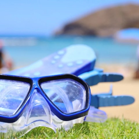 Close-up of snorkeling mask on grass with a beach and rocks blurred in the background.